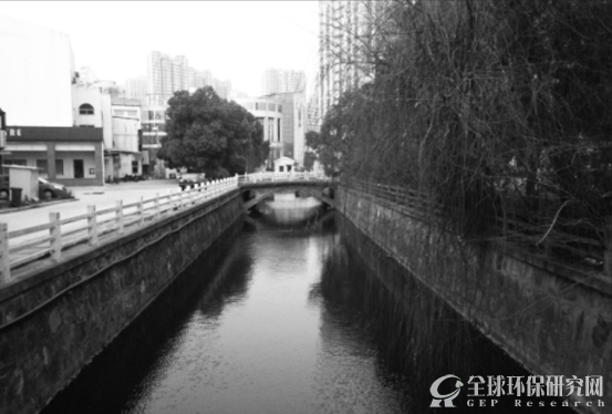 城市中度污染缓流水体净化技术示范工程东桥浜河道