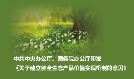 中共中央办公厅、国务院办公厅印发《关于建立健全生态产品价值实现机制的意见》
